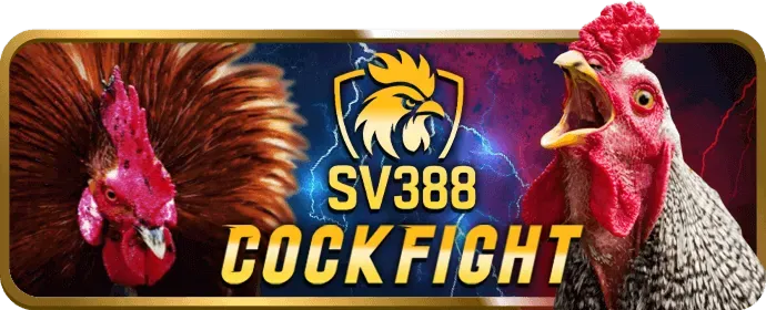 Đá Gà trực tuyến 888p18